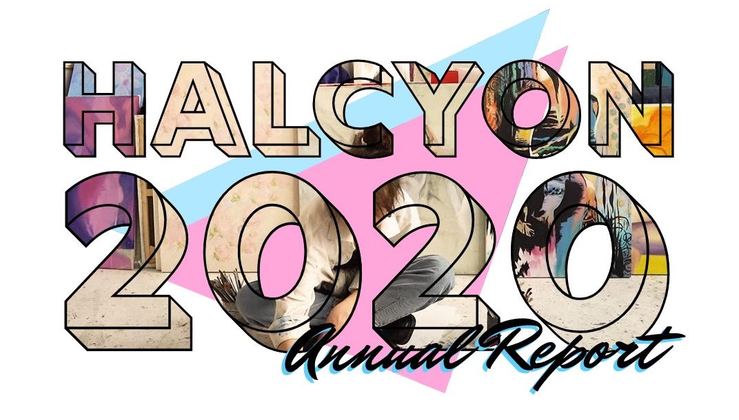 Halcyon 2020 Annual Report Graphic